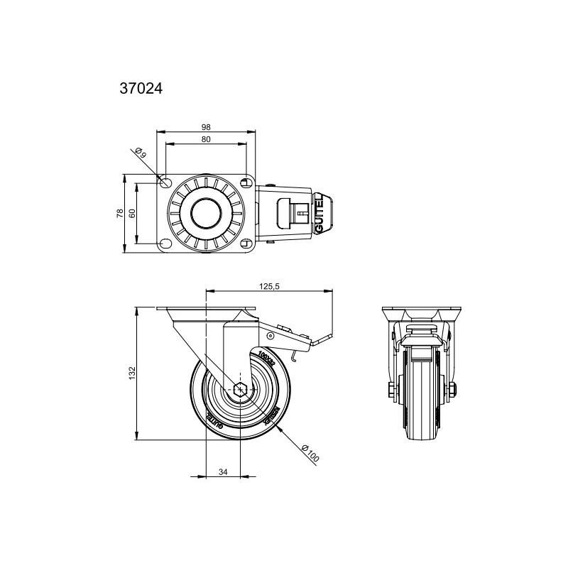 ADAM HALL 37024