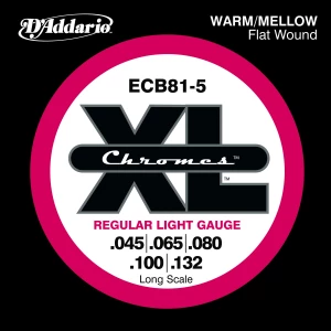 D'ADDARIO ECB81-5