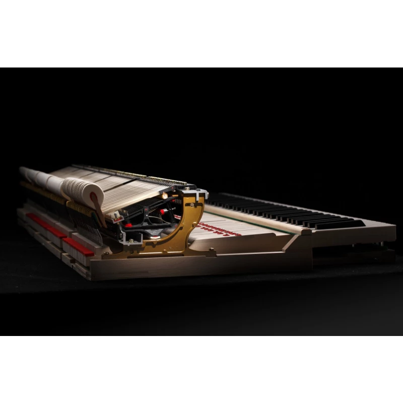 KAWAI GX-2 WH/P
