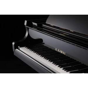 KAWAI GX-5 M/PEP