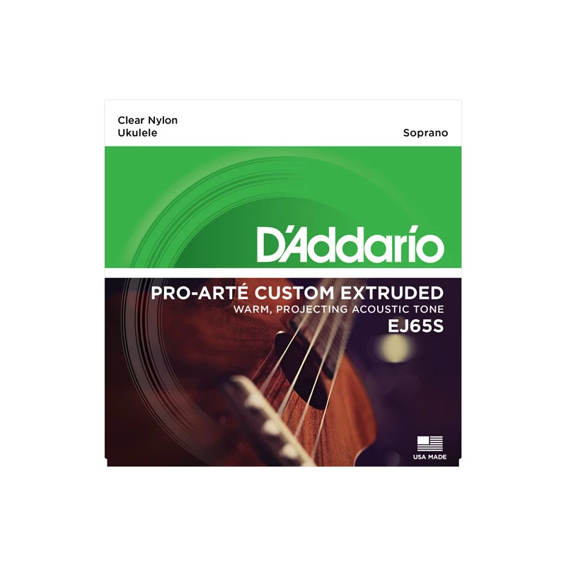 D'ADDARIO EJ65S