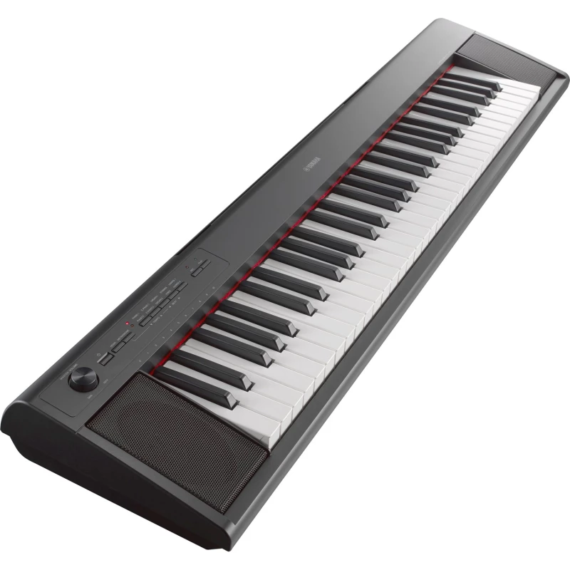 YAMAHA NP-12B