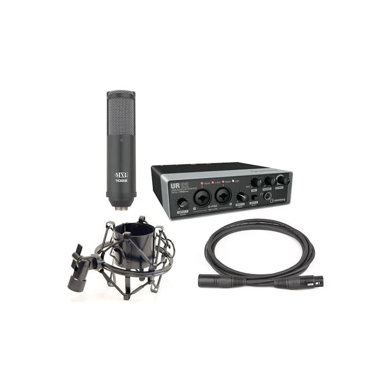 STEINBERG UR22MKII Recording PACK