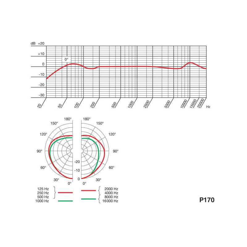 AKG P170