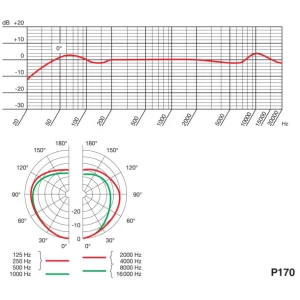 AKG P170