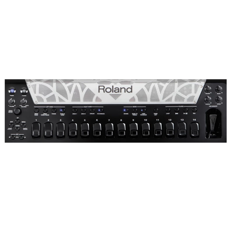 ROLAND FR-8X BK