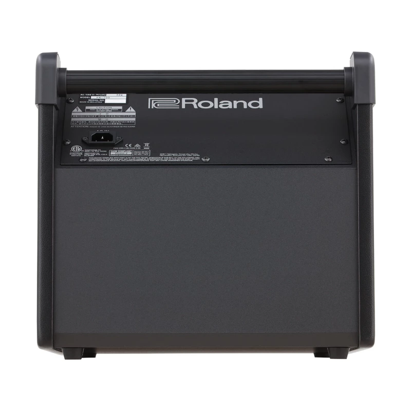 ROLAND PM-100