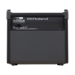 ROLAND PM-100