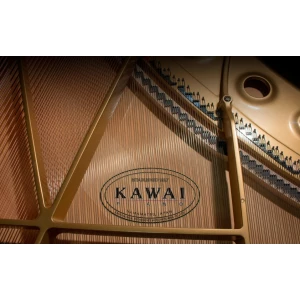 KAWAI GL-20 M/PEP