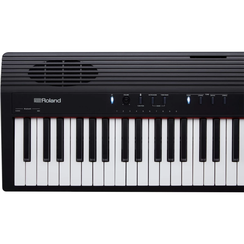 ROLAND GO-88P