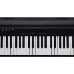 ROLAND GO-88P