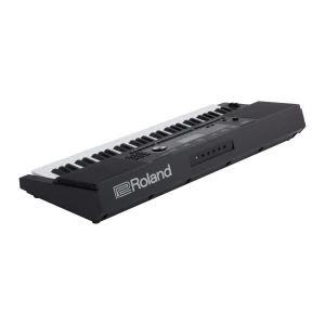 ROLAND E-X20