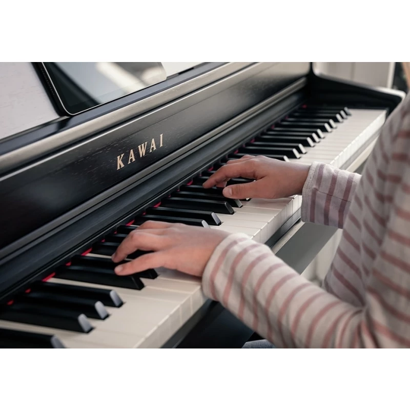 KAWAI CN301 B