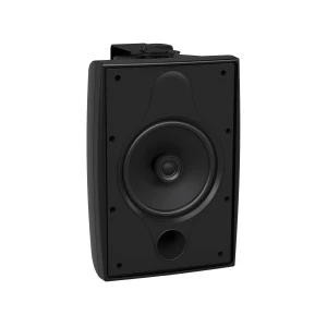 TANNOY DVS 6