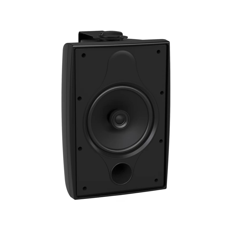 TANNOY DVS 6T