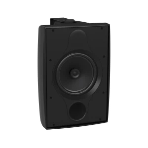 TANNOY DVS 8