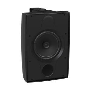 TANNOY DVS 8T