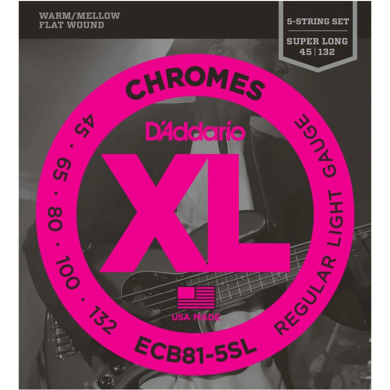 D'ADDARIO ECB81-5SL