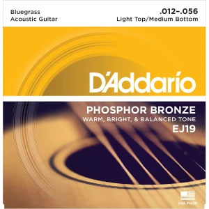 D'ADDARIO EJ19